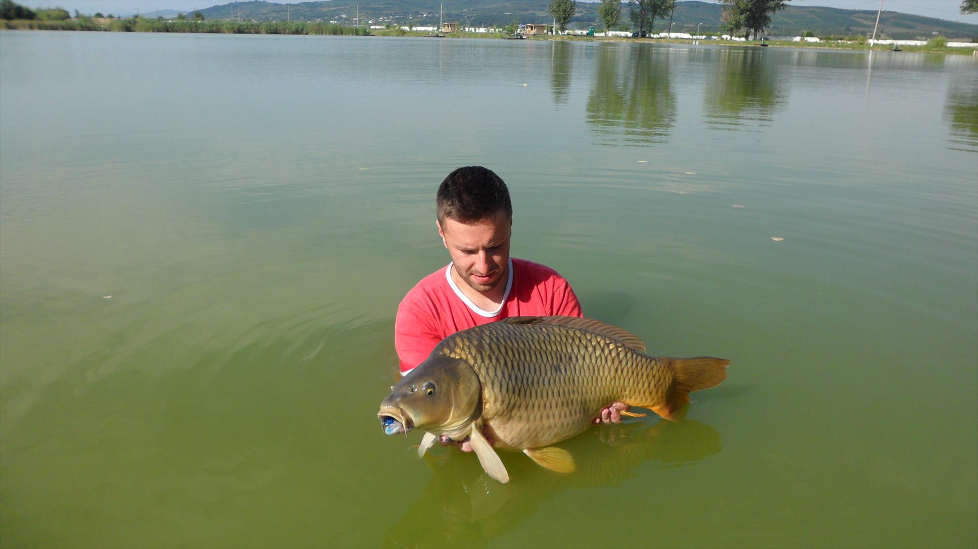 Pleasa1 18 - 20 august 2014 - sam0236.JPG